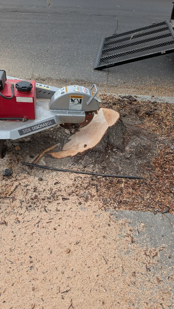 Professional stump grinder working on a substantial stump
